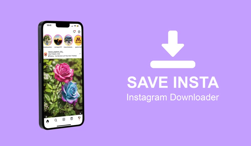 SaveInsta Downloader